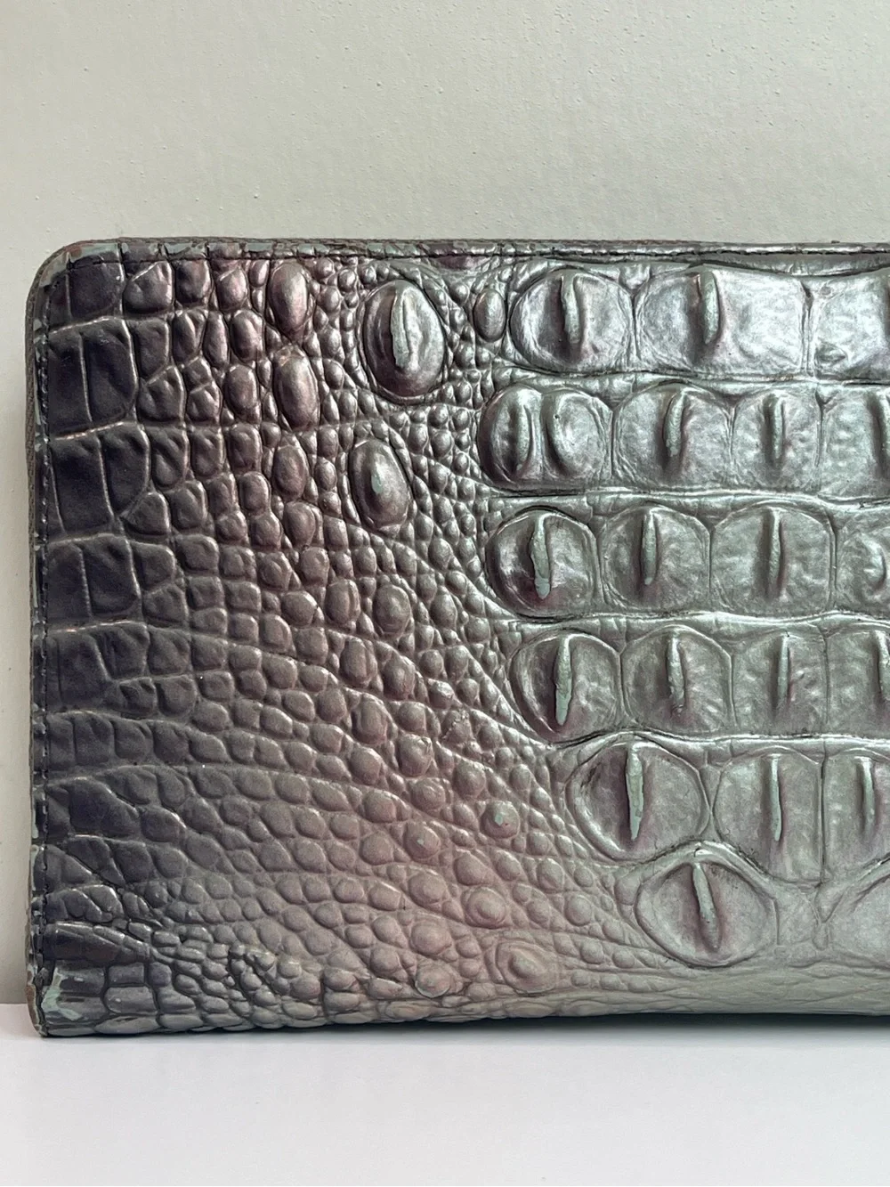 Brahmin The Skyler Clutch